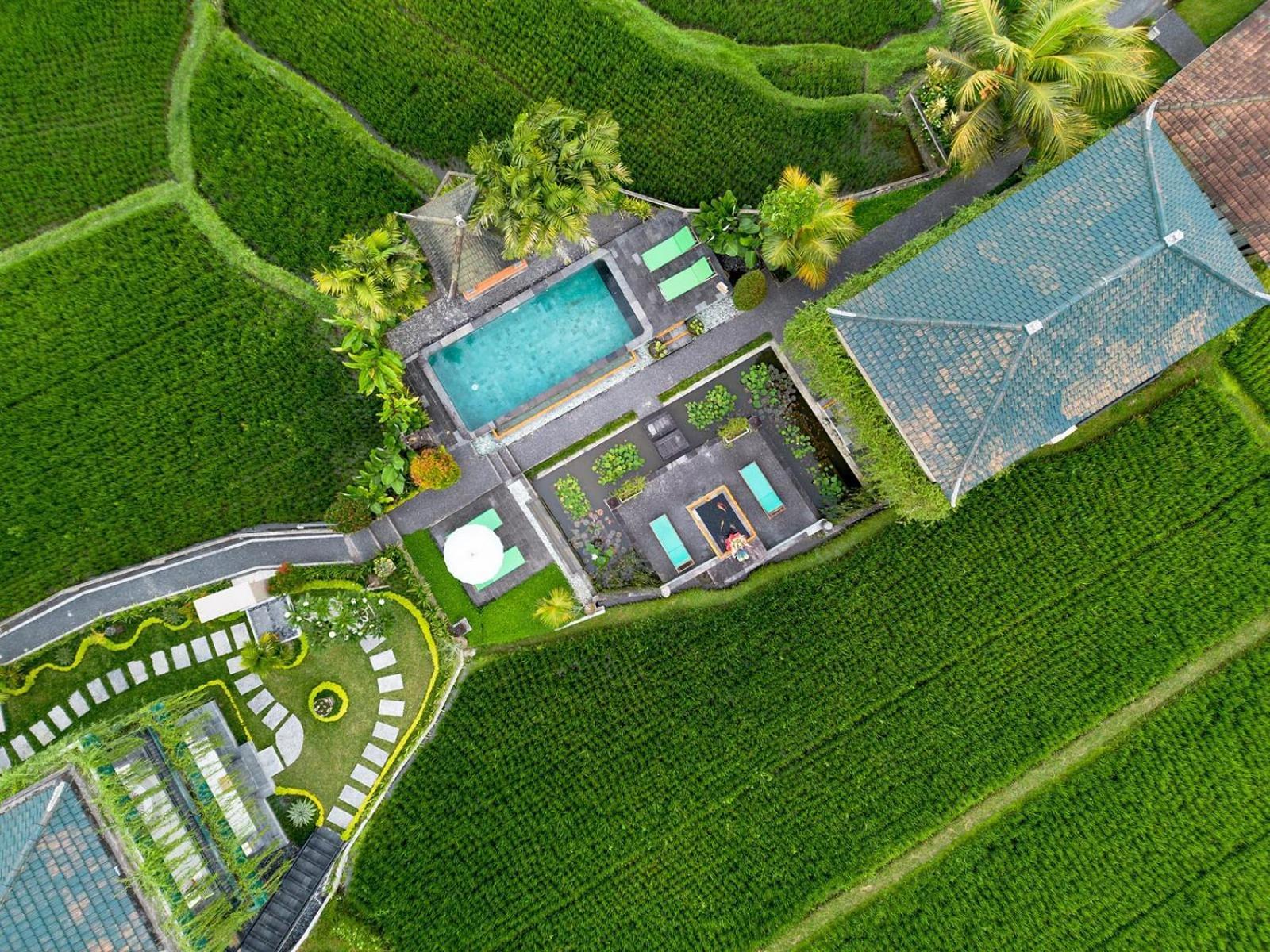 Cahaya Ubud Villa Exteriér fotografie