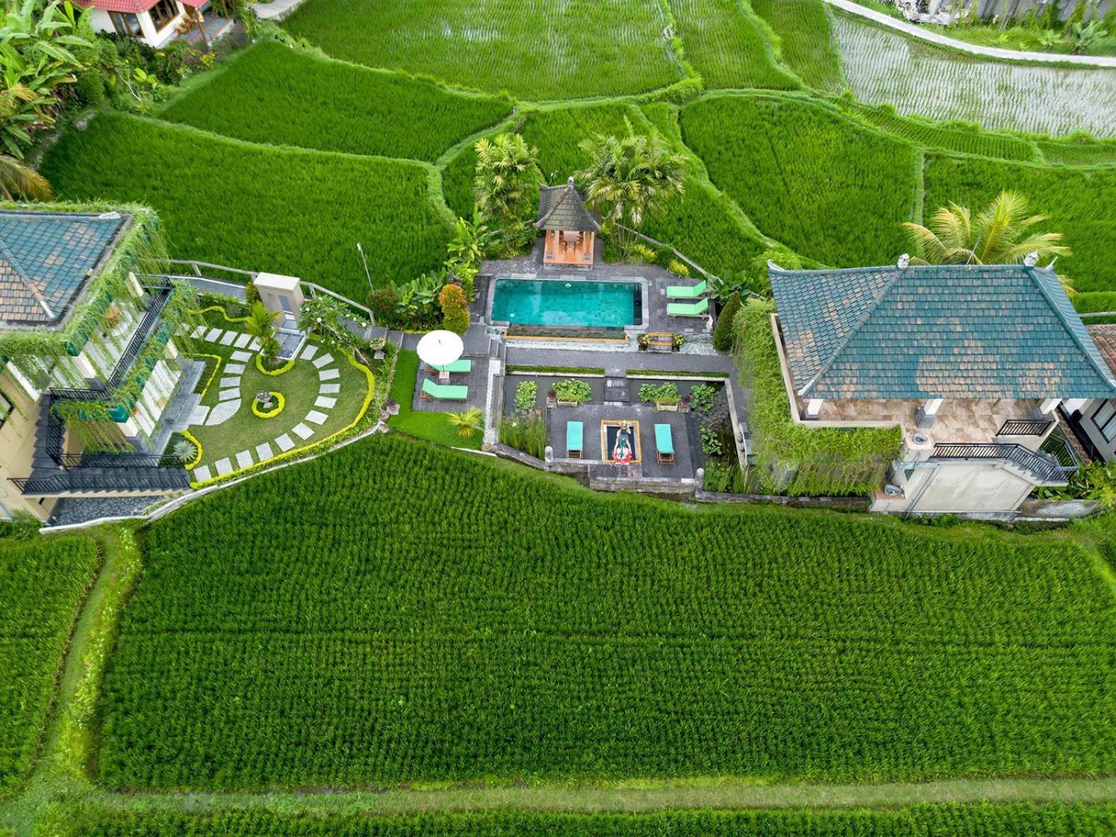 Cahaya Ubud Villa Exteriér fotografie