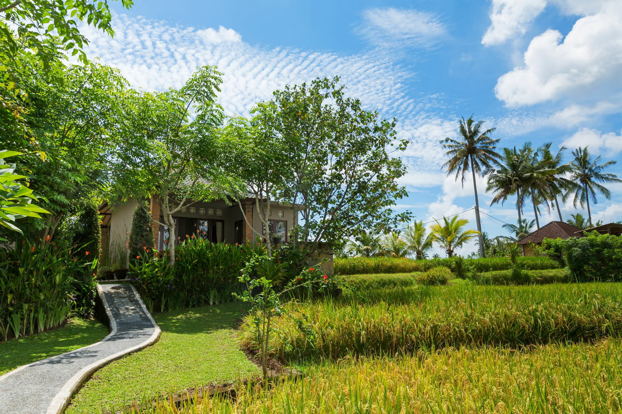 Cahaya Ubud Villa Exteriér fotografie